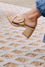 Load image into Gallery viewer, Lucy Raffia Heel
