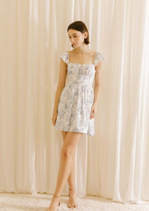 Blue Toile Dress