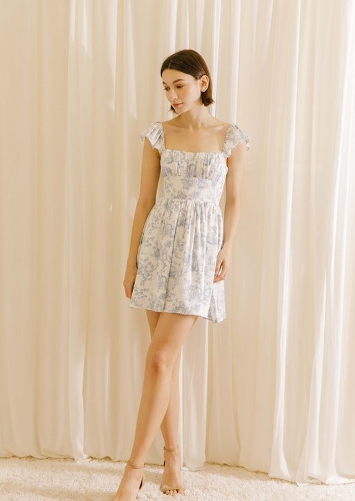 Blue Toile Dress