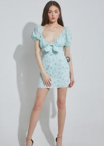 Floral Eyelet Mini Dress